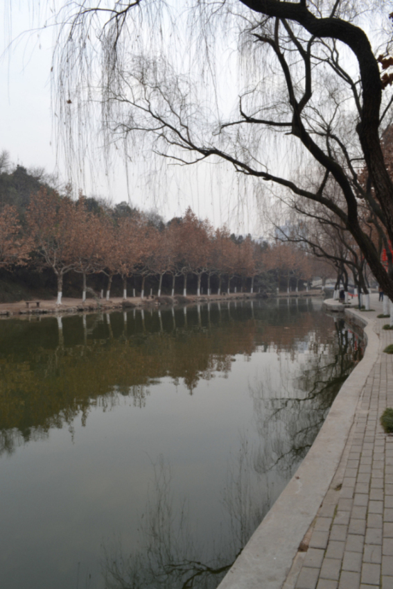 DSC_0151.jpg