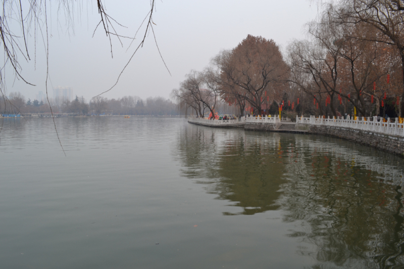 DSC_0198.jpg