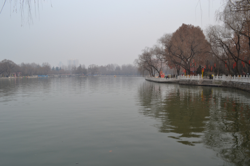 DSC_0200.jpg