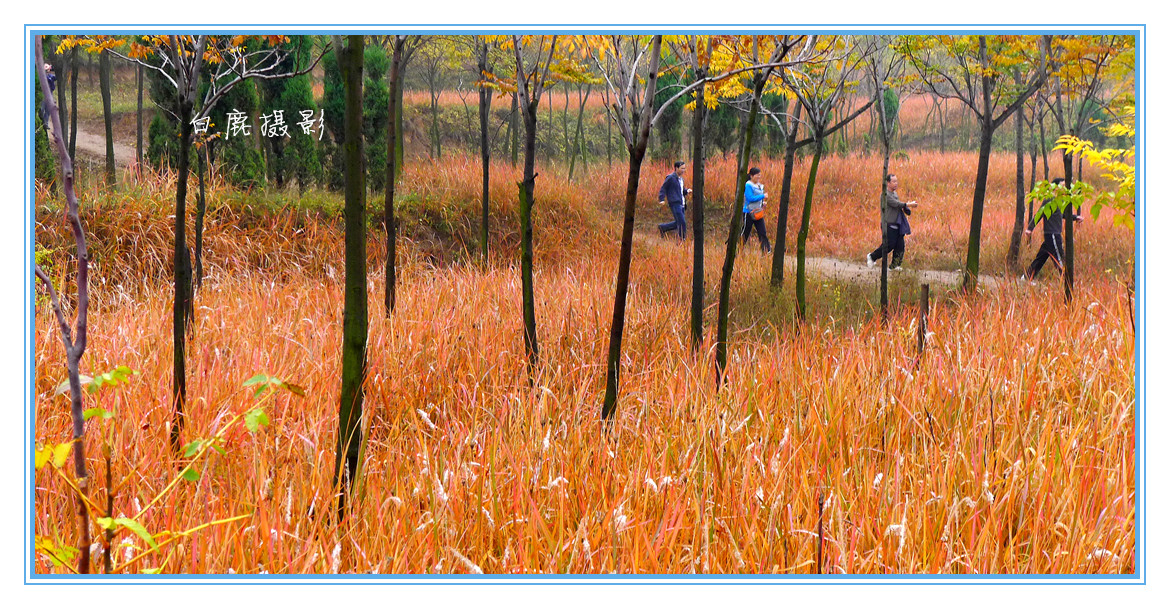 P1250211_副本.jpg