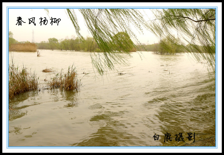 P1130894_副本.jpg