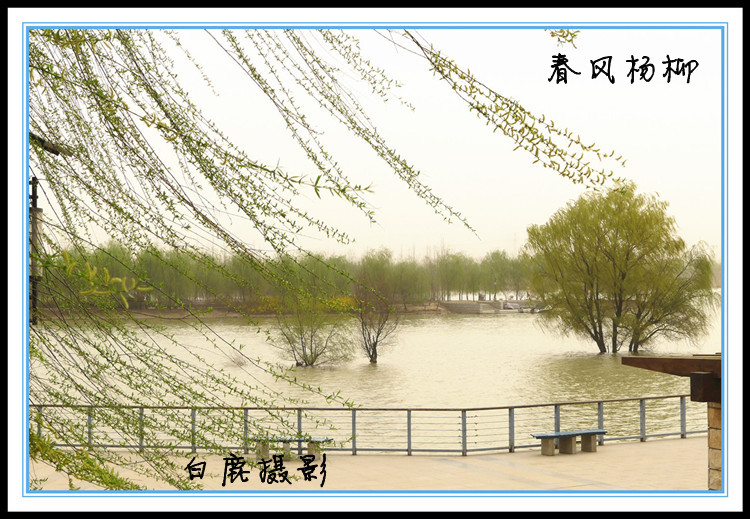 P1130937_副本.jpg