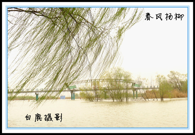 P1130924_副本.jpg