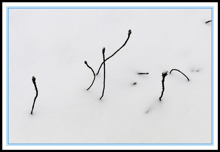 雪地太极.jpg