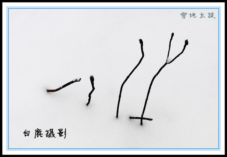 P1120463副本.jpg