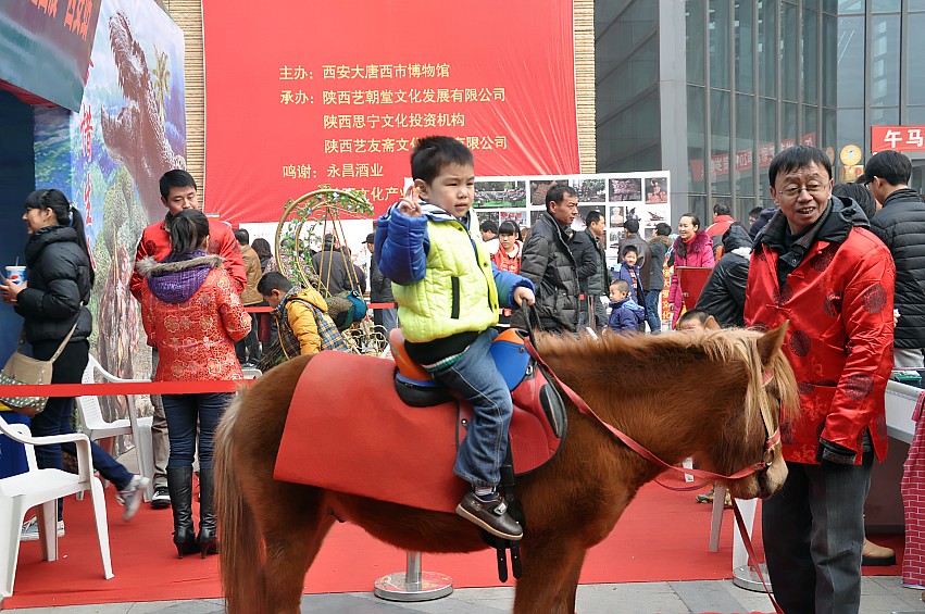 DSC_0135_conew1.jpg