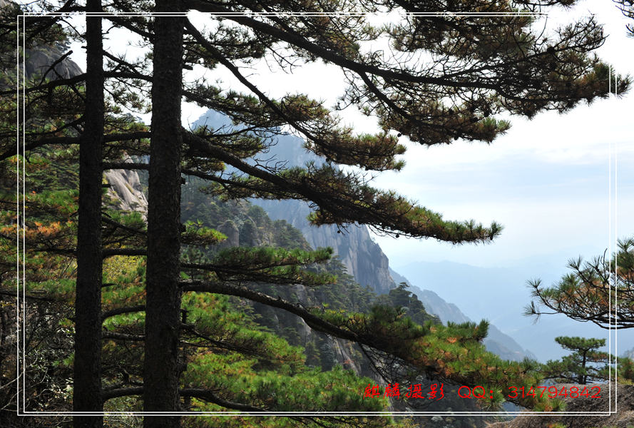 黄山游 174_副本.jpg