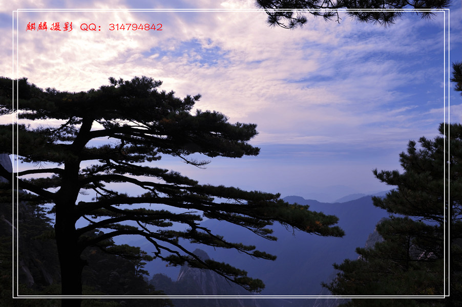 黄山游 178_副本.jpg