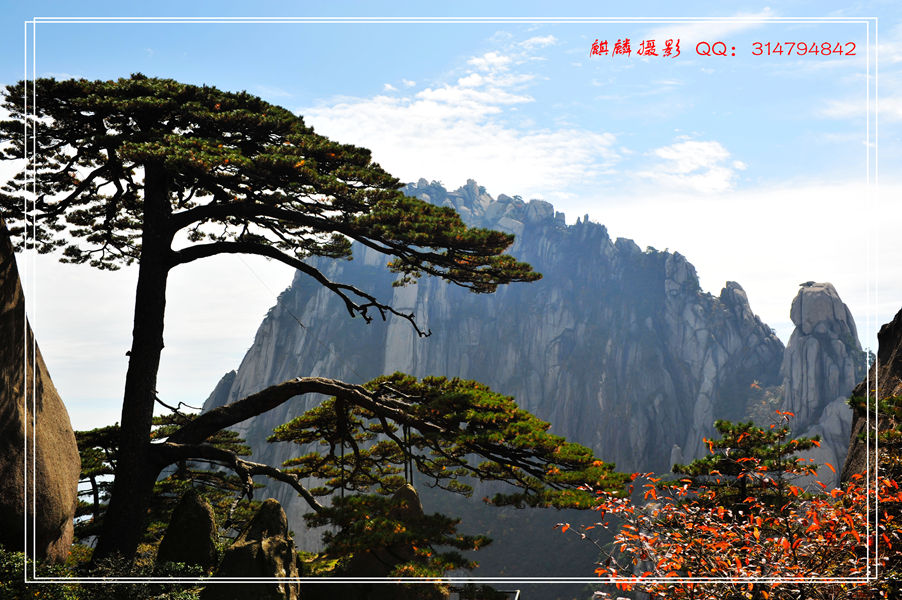黄山游 198_副本.jpg