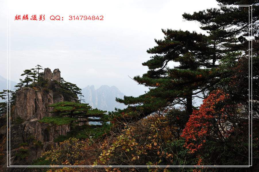 黄山游 355_副本.jpg