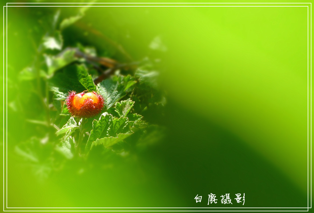 P1190554_副本.jpg