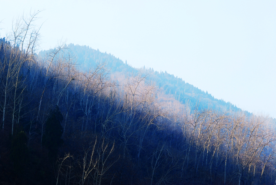 DSC_7435.JPG