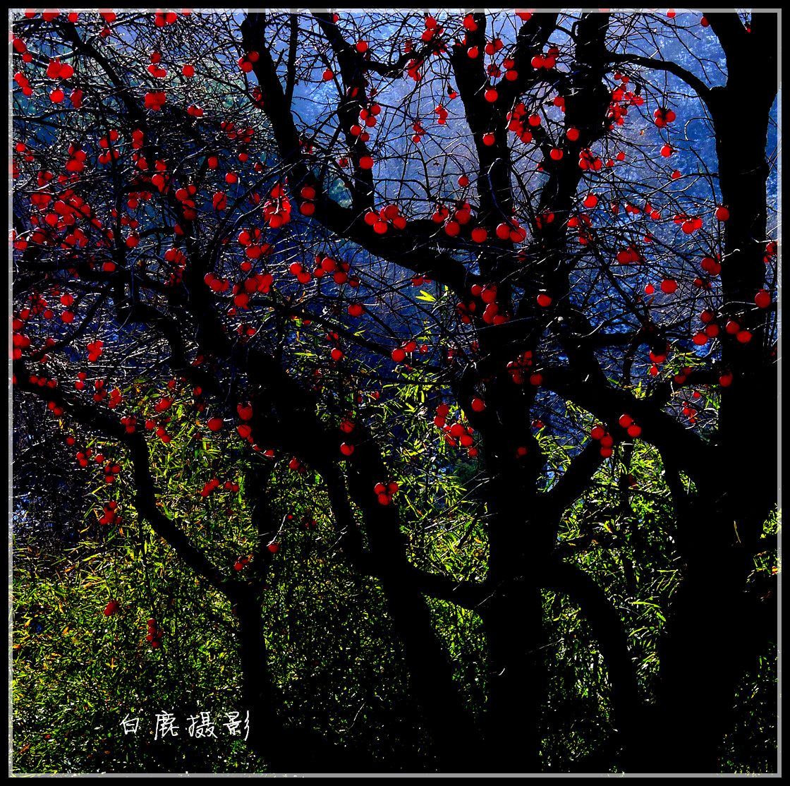 P1270747_副本.jpg