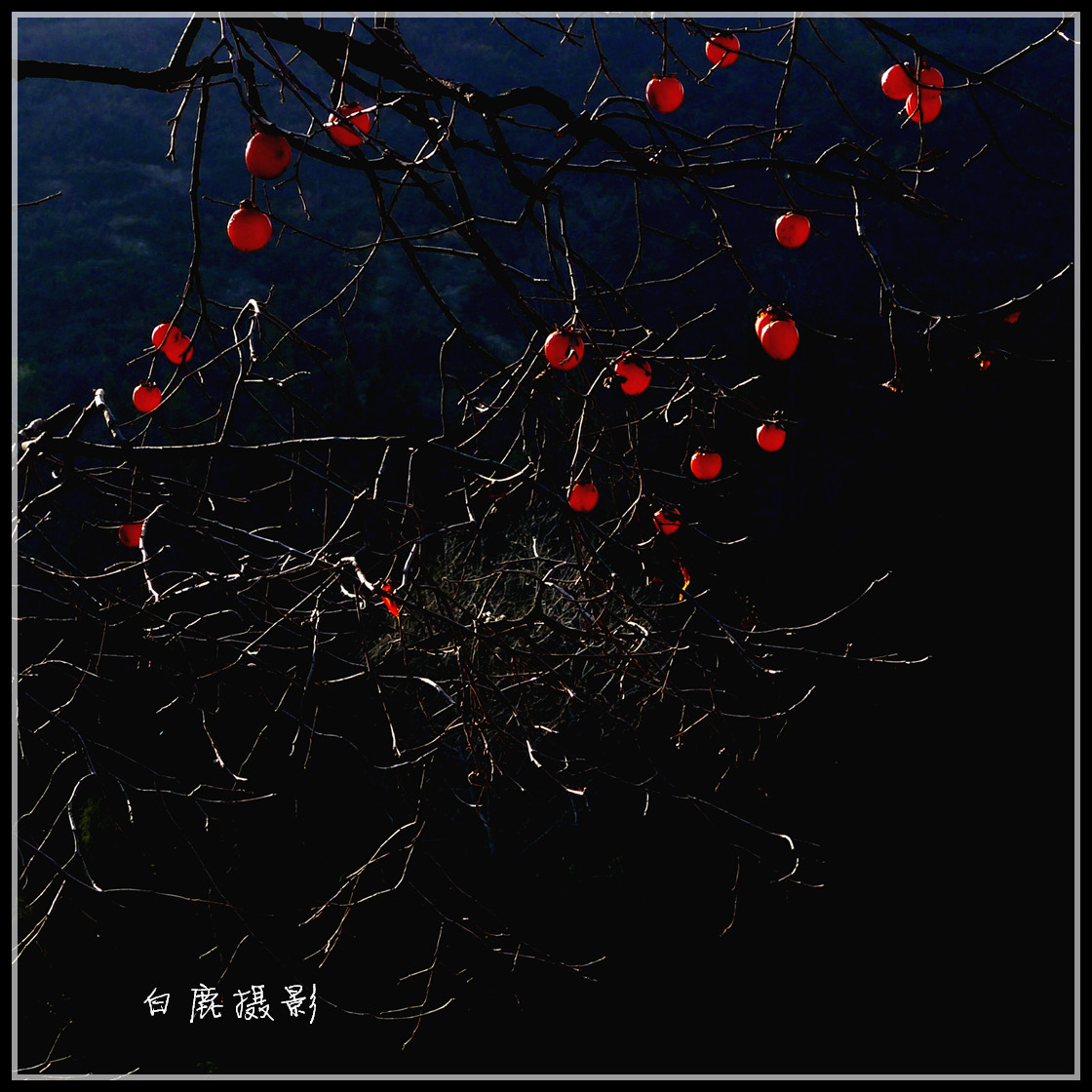 P1270765_副本.jpg