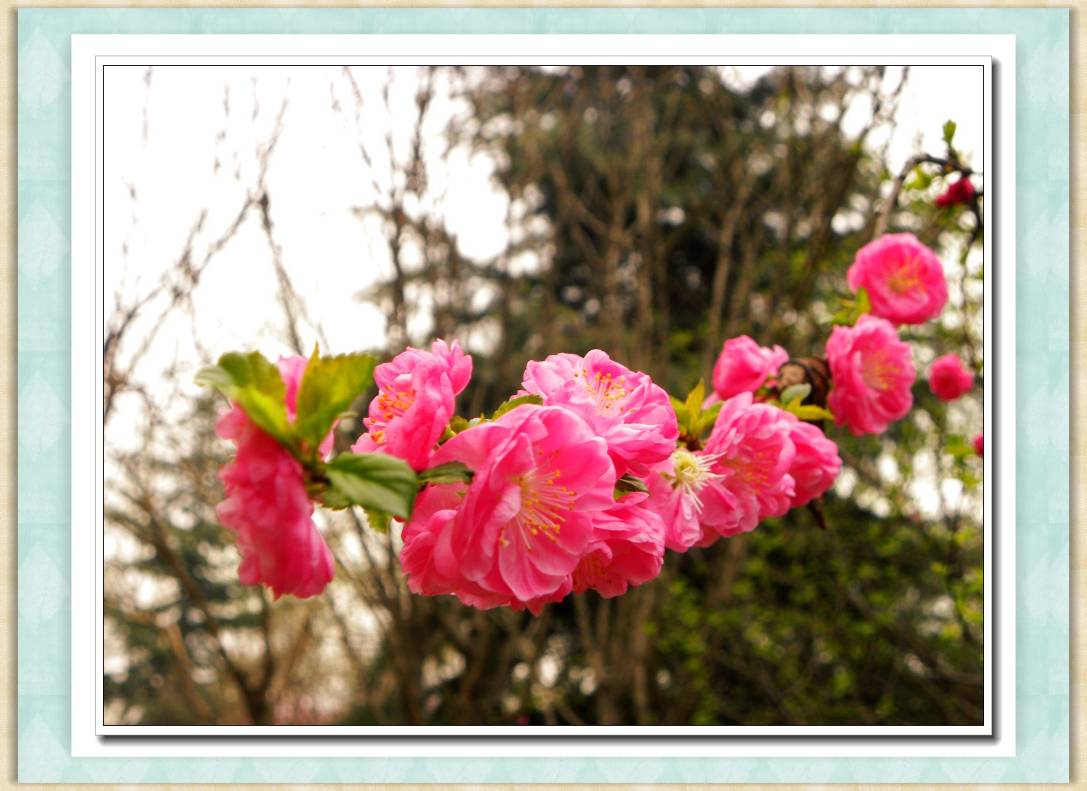 DSCN4559.JPG