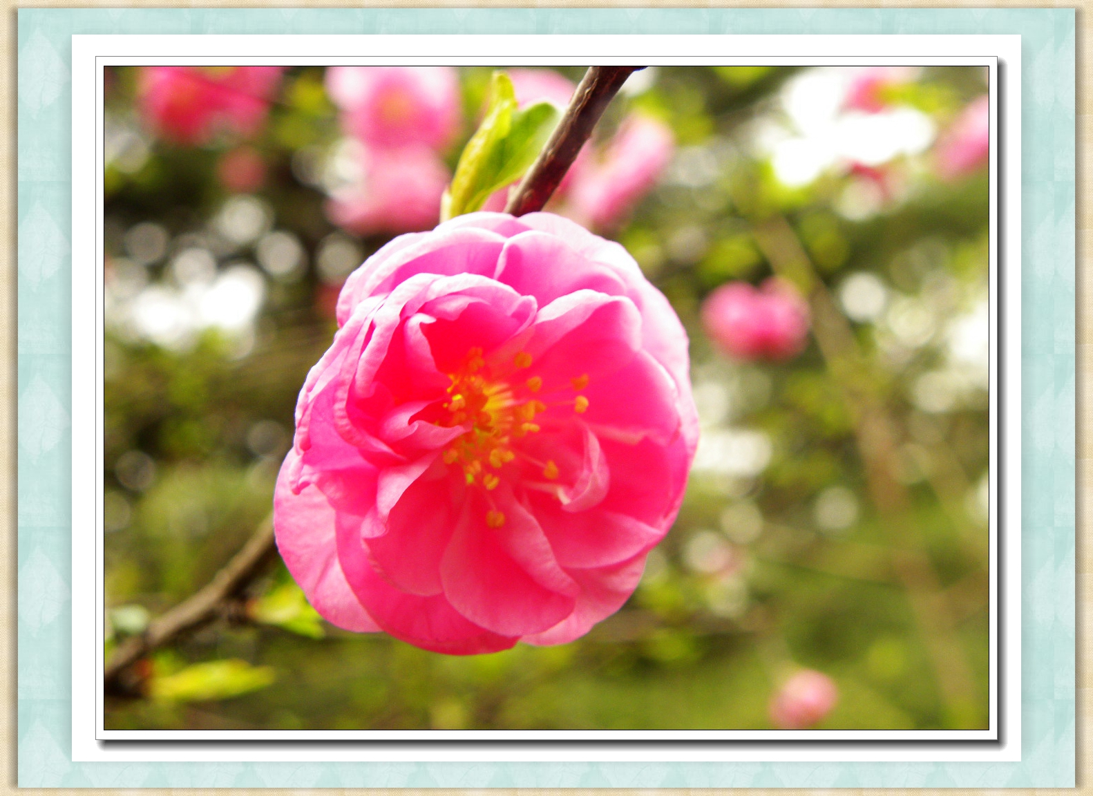 DSCN4562.JPG