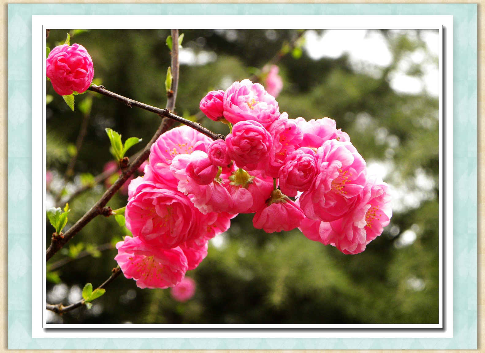 DSCN4563.JPG