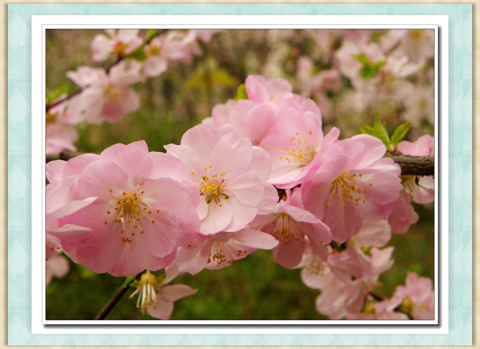 DSCN4623.JPG