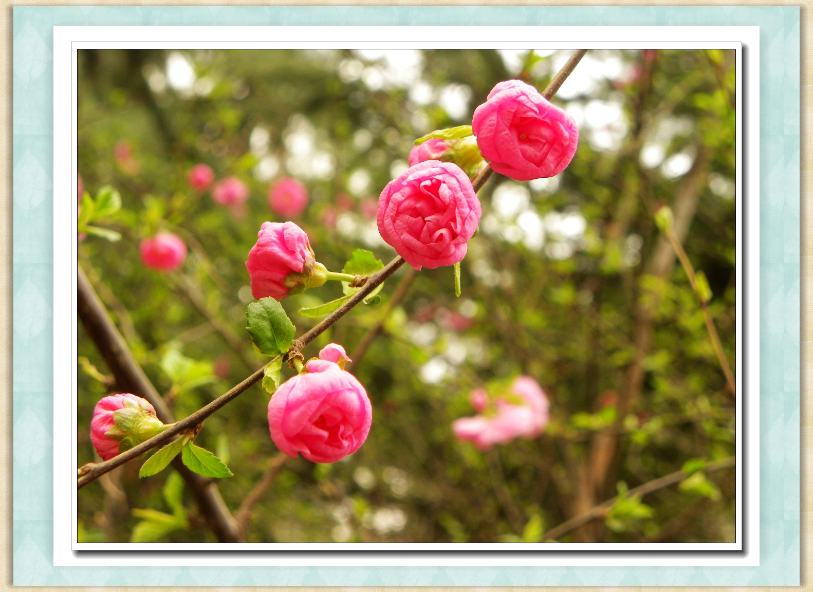DSCN4681.JPG