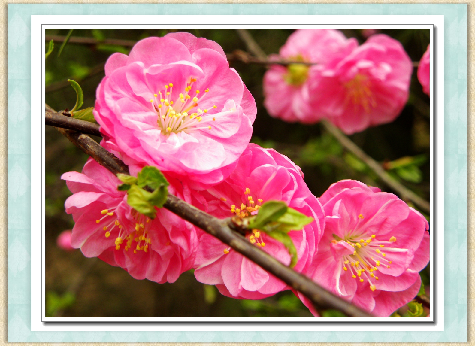 DSCN4706.JPG
