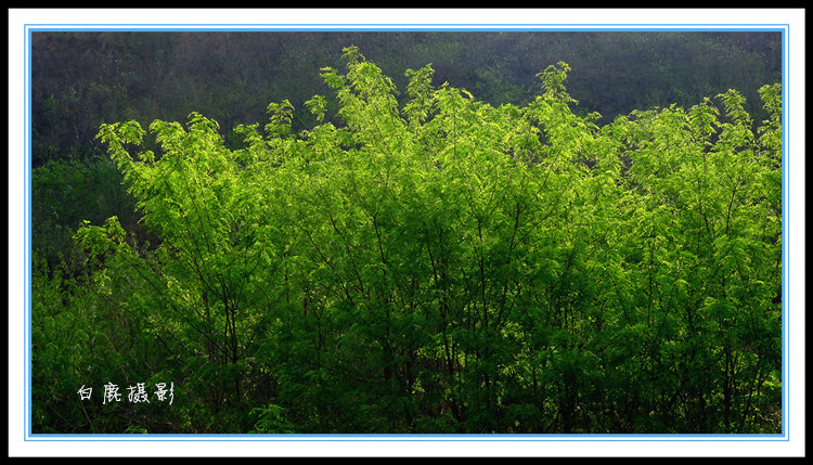 P1160948_副本.jpg