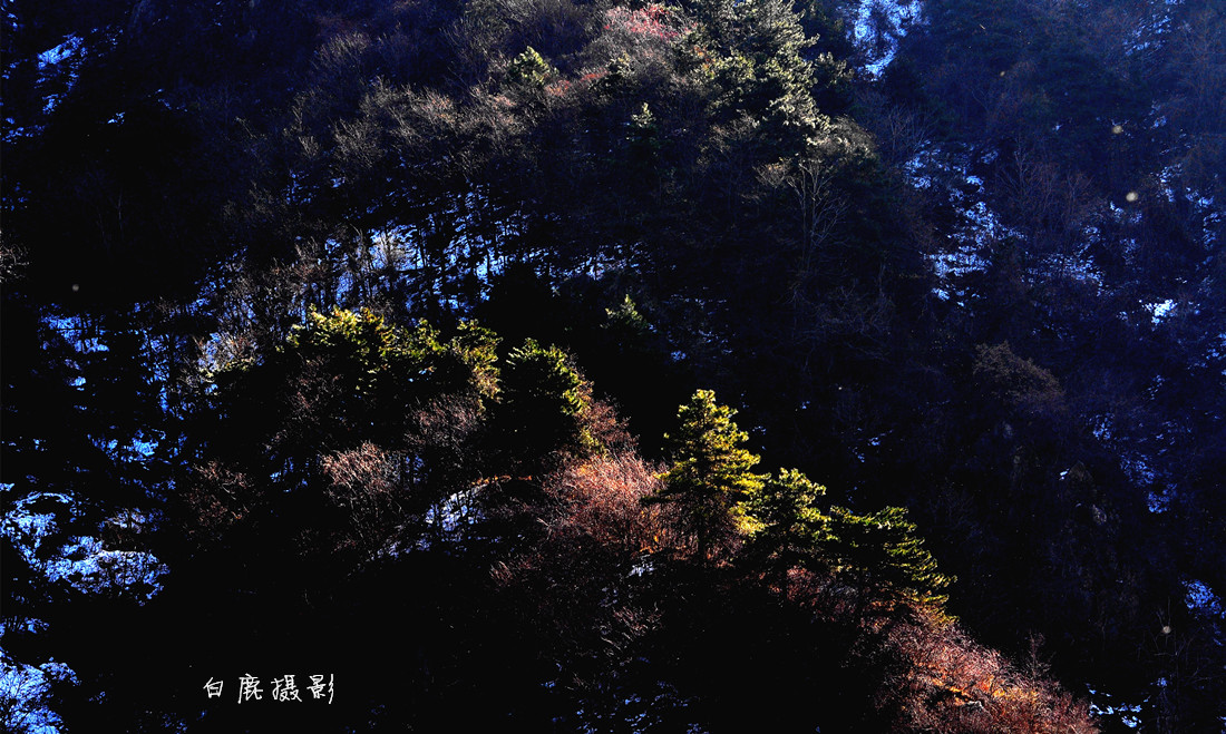 DSC_0068_副本.jpg