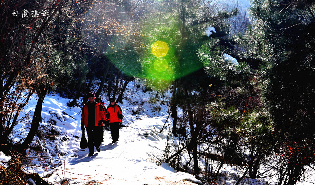 DSC_0096_副本.jpg