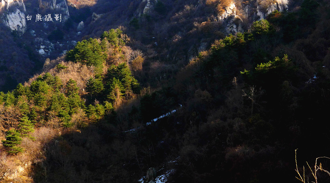 P1270939_副本.jpg