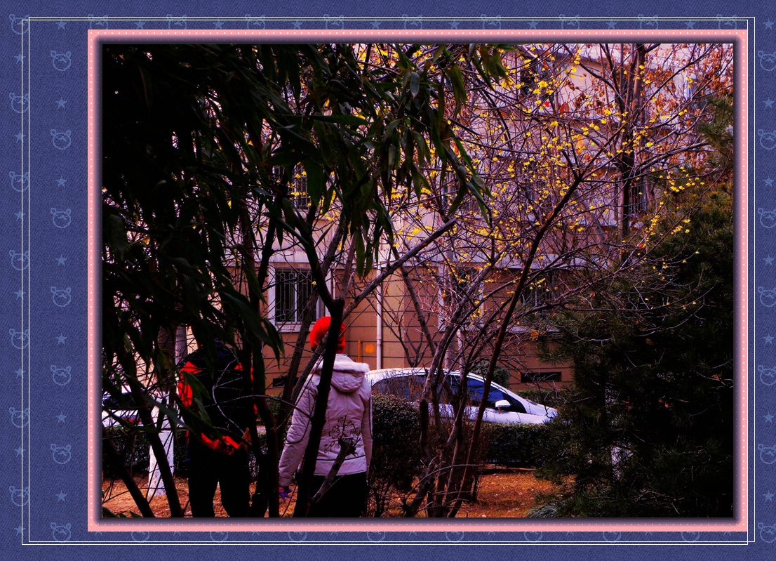 DSCN1937.JPG
