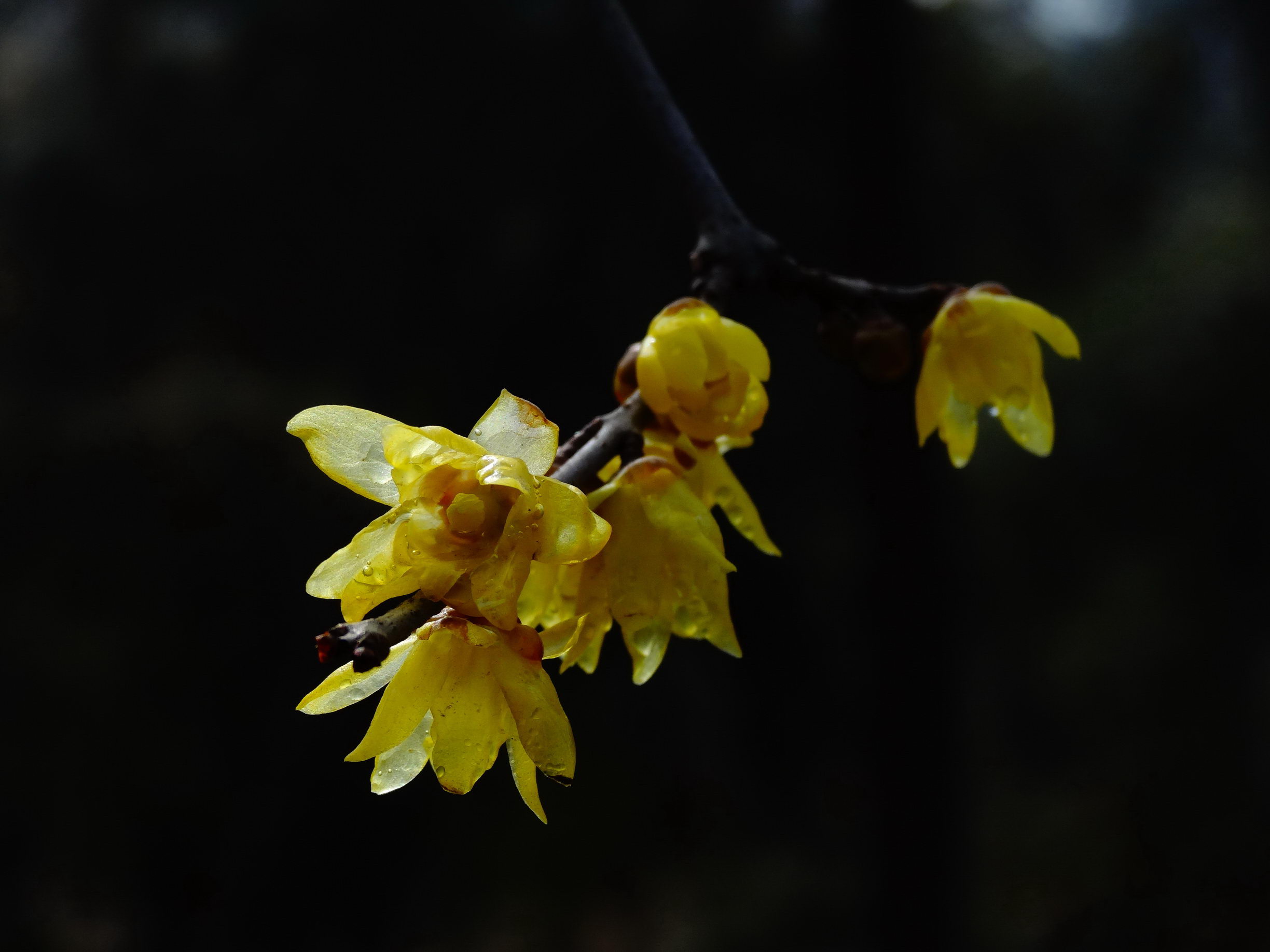 DSC09731_调整大小.jpg