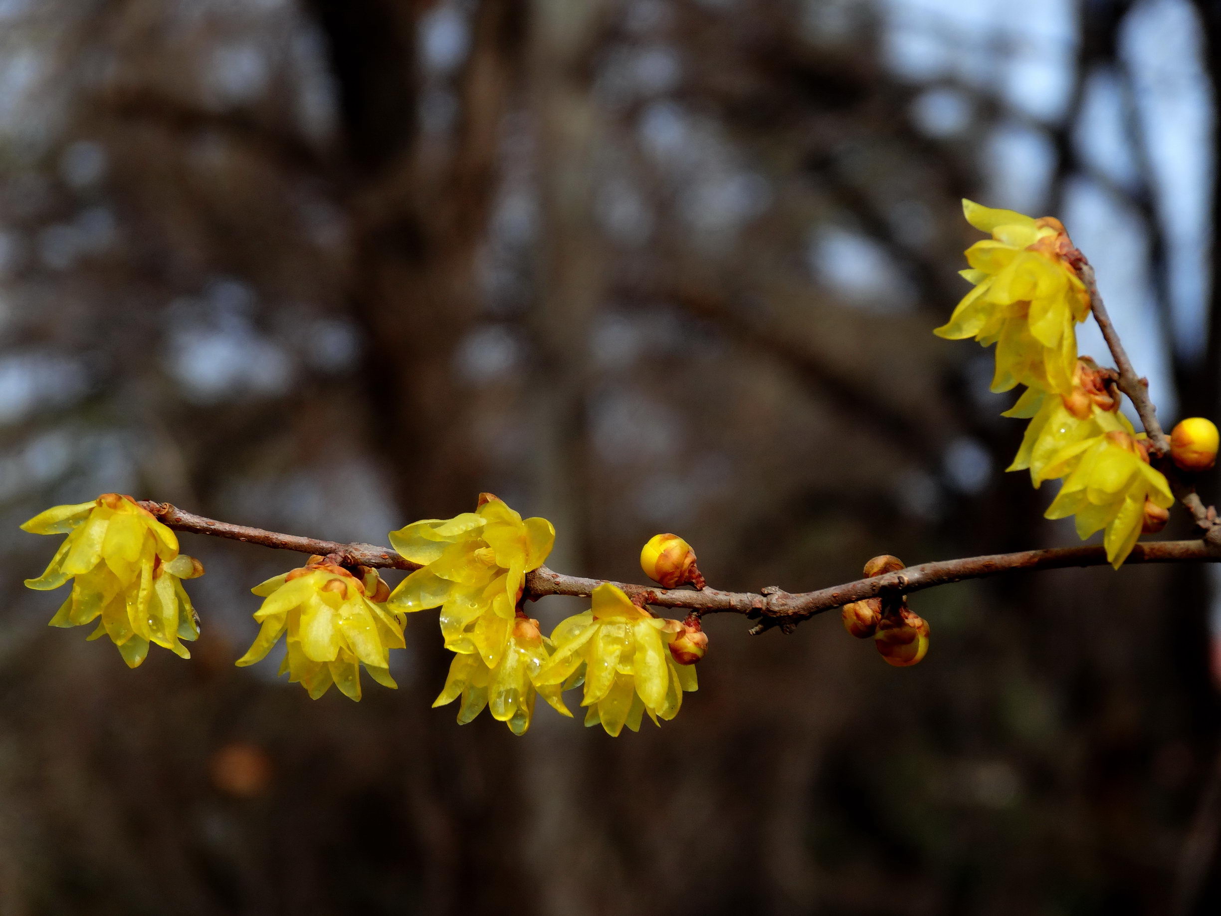 DSC09742A_调整大小.jpg