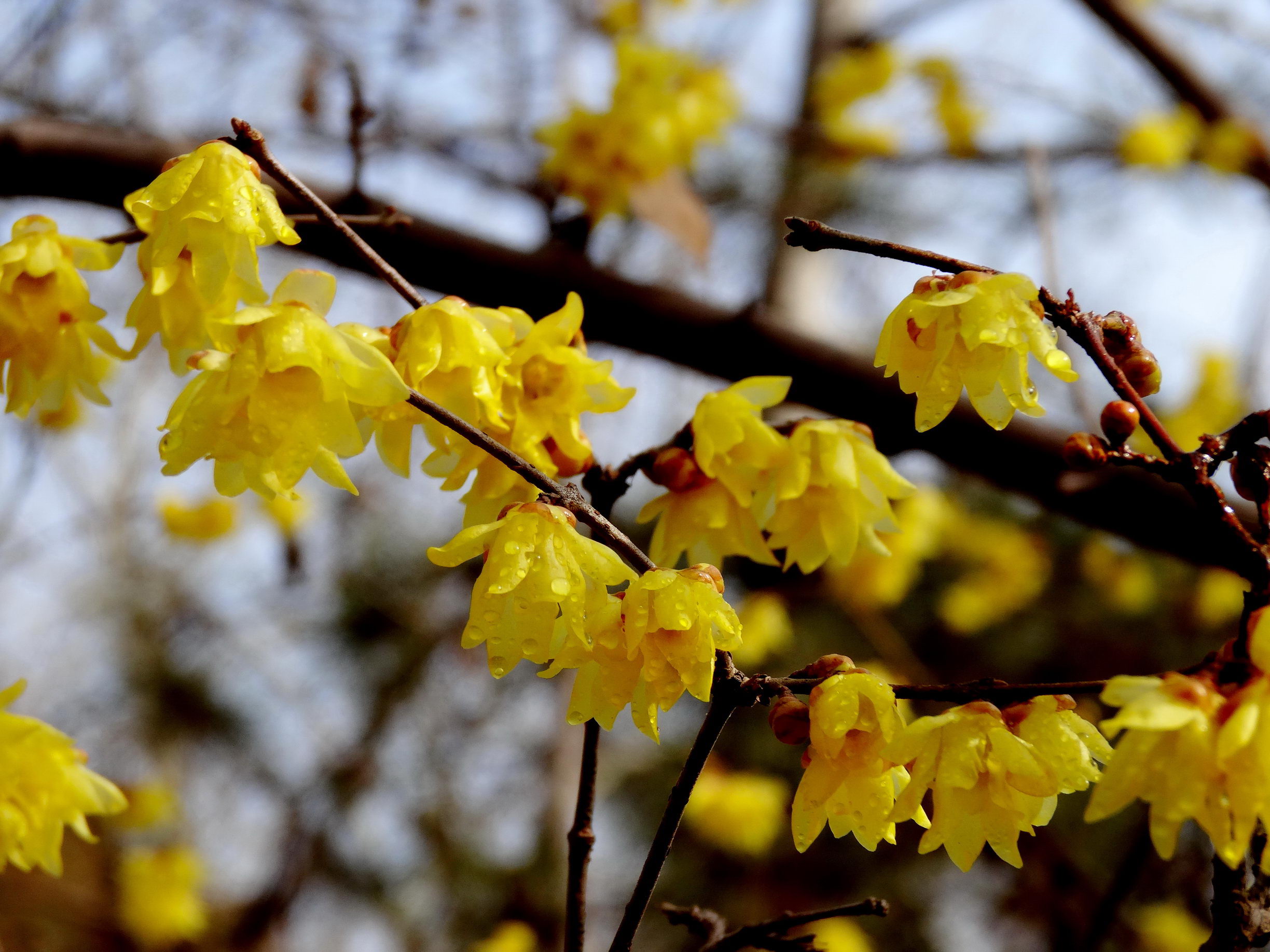 DSC09749A_调整大小.jpg
