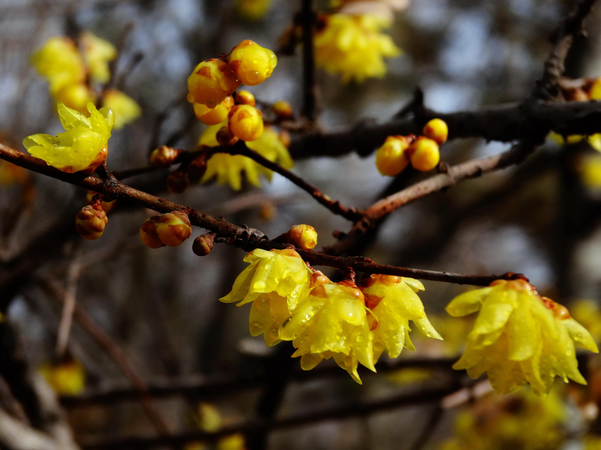 DSC09750AA_调整大小.jpg