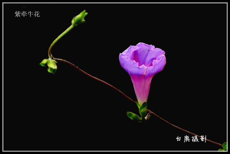 P1230114_副本.jpg