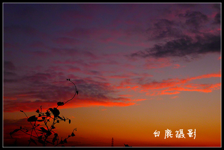 P1070231_副本.jpg