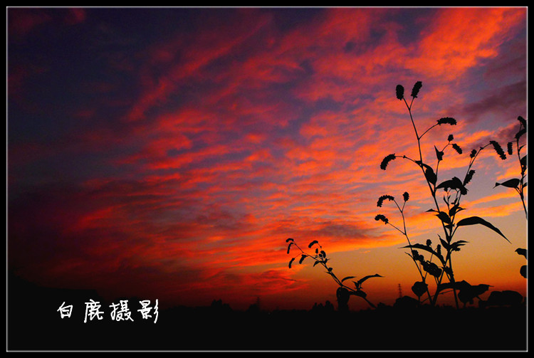 P1070218_副本.jpg