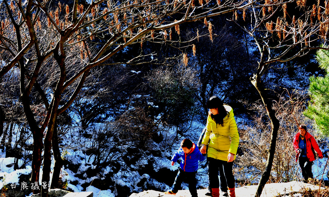DSC_0087_副本.jpg