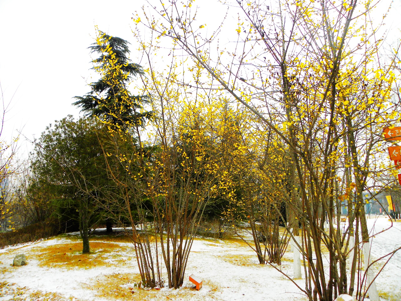 DSCN2150.JPG