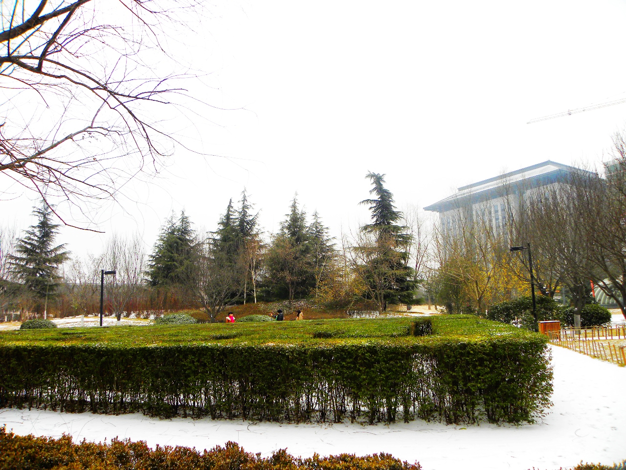 DSCN2154.JPG