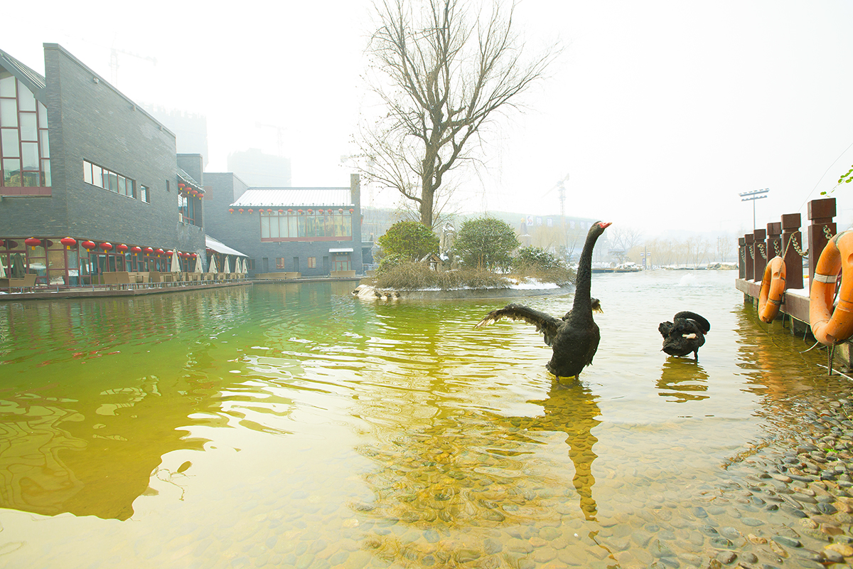20140207_4467x.jpg