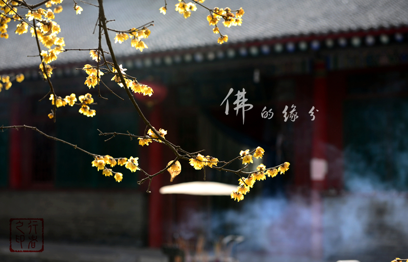 佛的缘分3.jpg