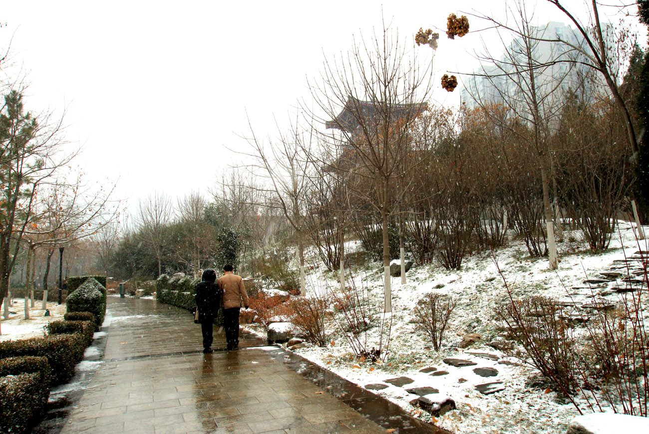 _MG_6886.jpg
