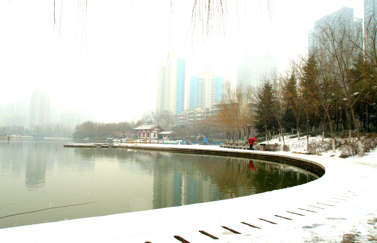 _MG_6949.jpg