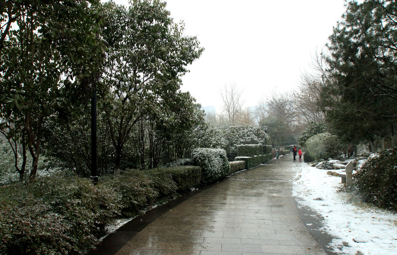_MG_7003.jpg