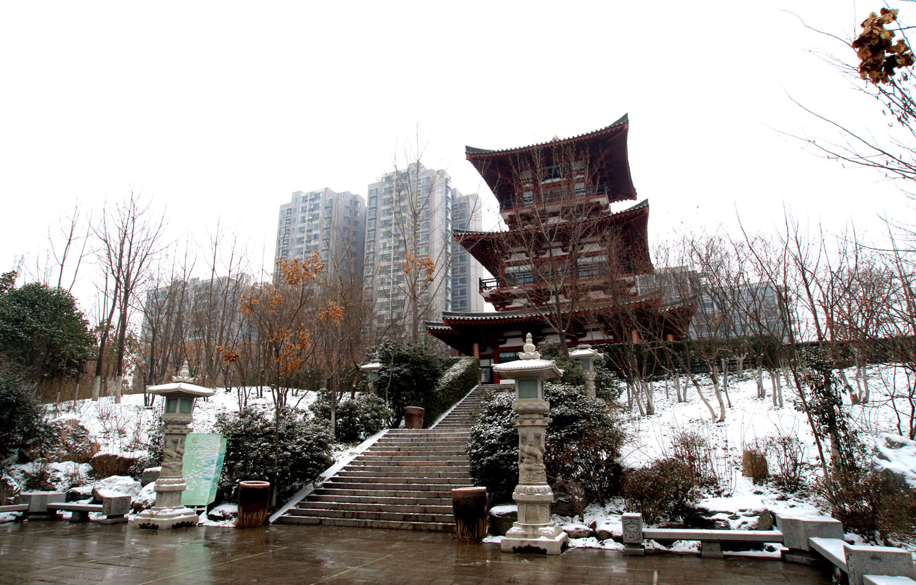_MG_7260.jpg