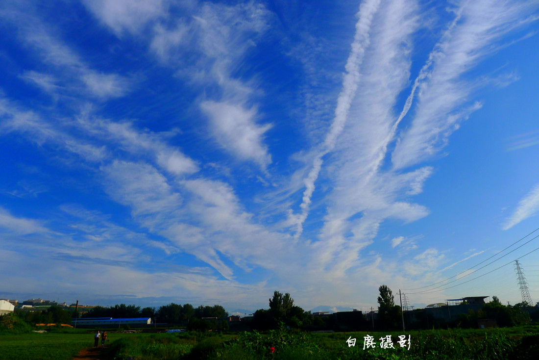 P1210523_副本.jpg