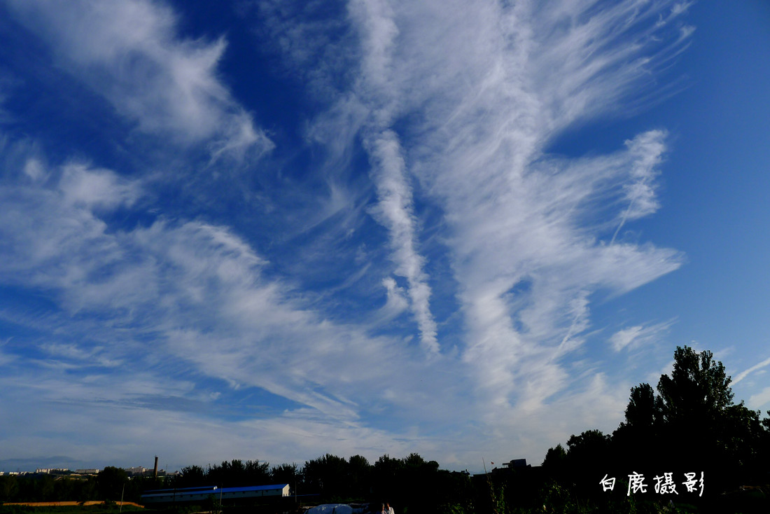 P1210529_副本.jpg
