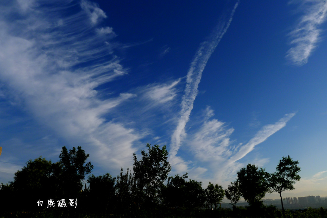 P1210531_副本.jpg