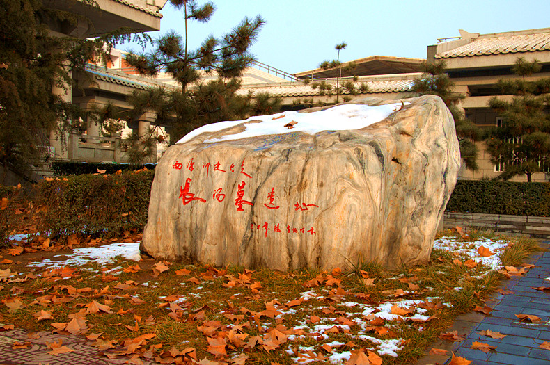 DSC_2457_副本.jpg