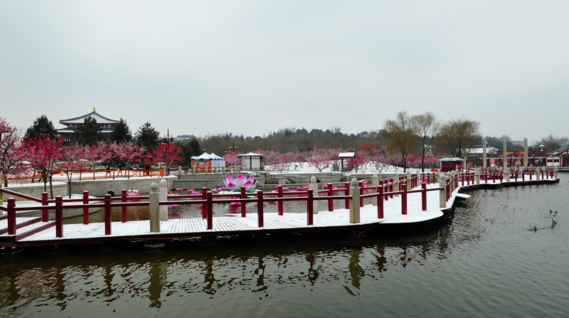 DSC_6884.jpg